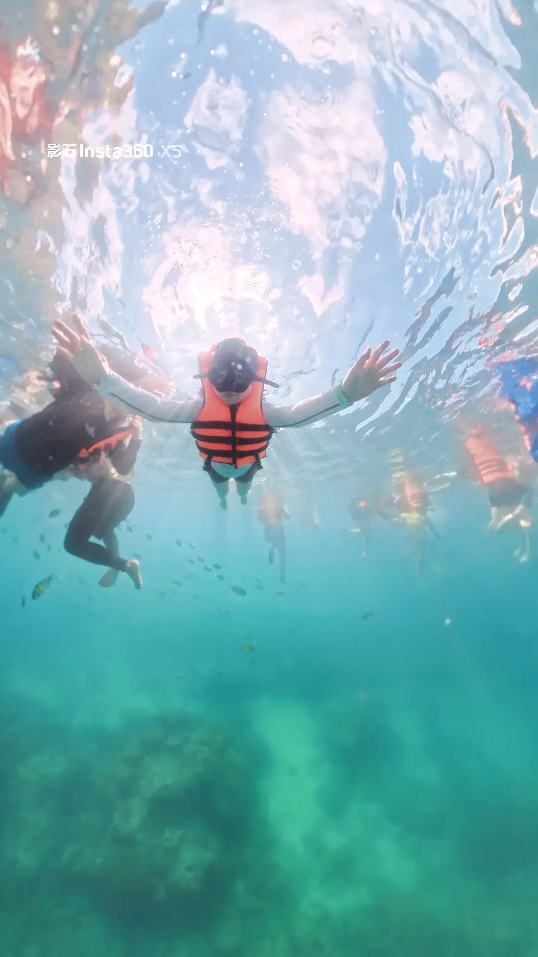 Ilhas Phi Phi Scenery 1