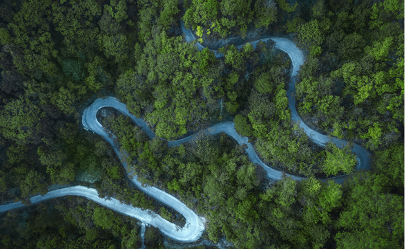 Dedicação à Sustentabilidade Ambiental