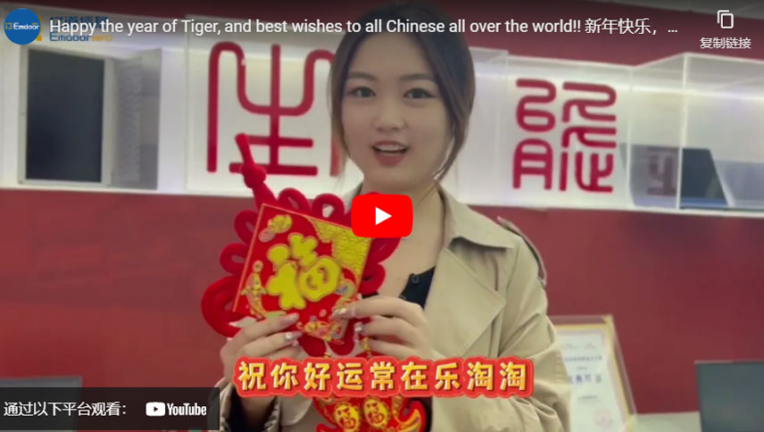 Feliz o ano do tigre, e melhores votos para todos os chineses em todo o mundo!!
